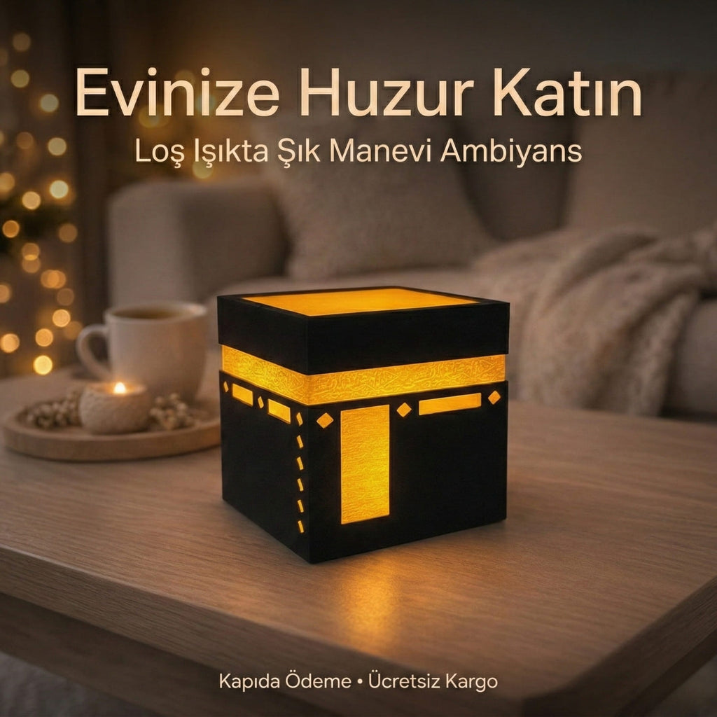Kabe Tasarımlı Işıklı Dekor