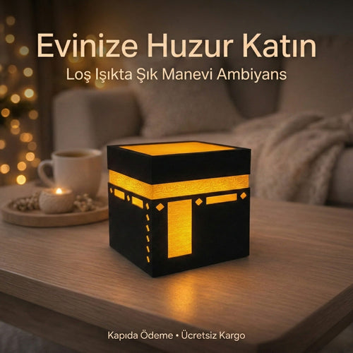 Kabe Tasarımlı Işıklı Dekor